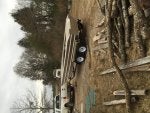 Tree Vehicle Car Plant